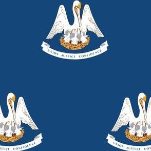 Louisana State Flag Pattern
