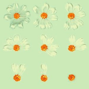 Mint Green Whimsical Real Daisy Flowers Pattern