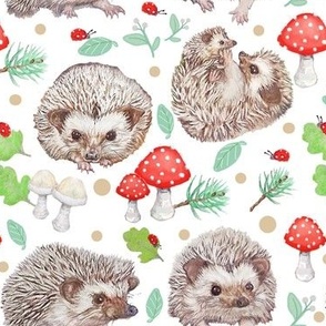 Hedgehogs Gather Among Mushrooms