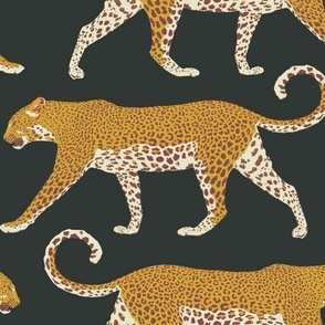 Leopards on soft black - large scale