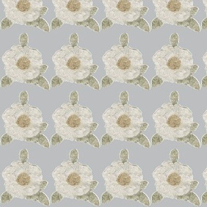 Primitive White Roses - Gray Background