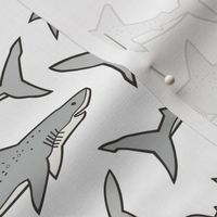Sharks Shark Grey on White