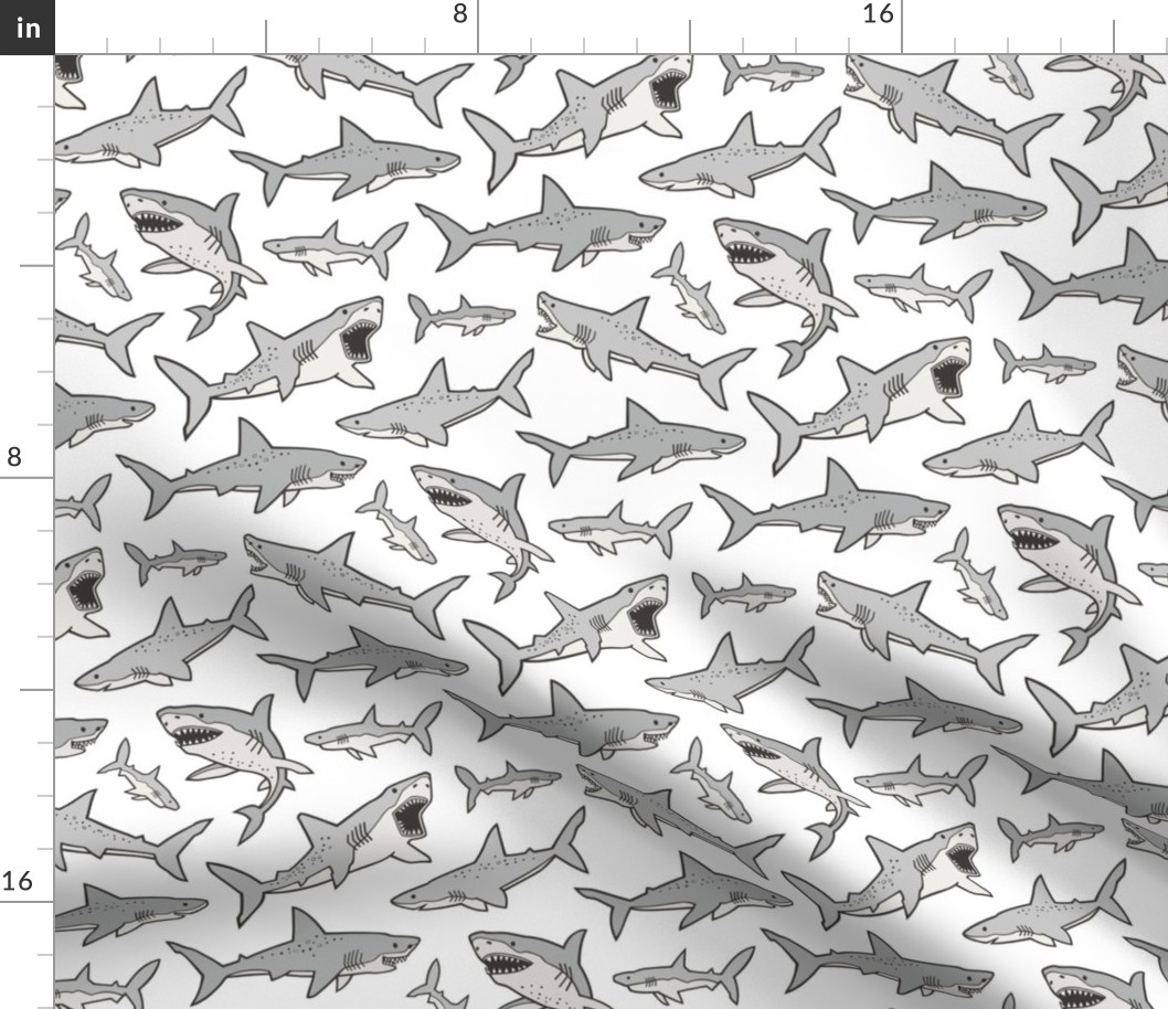 Sharks Shark Grey on White