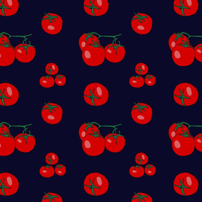 Red tomatoes on navy-blue