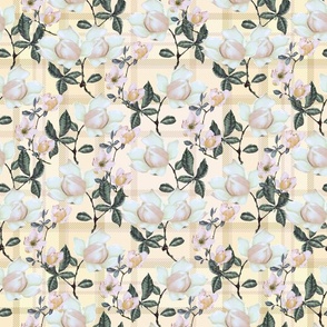 Blossoms on Plaid Pink Cream Yellow Green 2