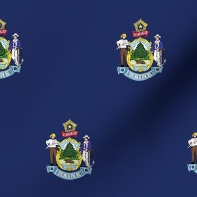 Maine State Flag Pattern
