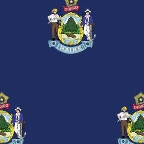 Maine State Flag Pattern