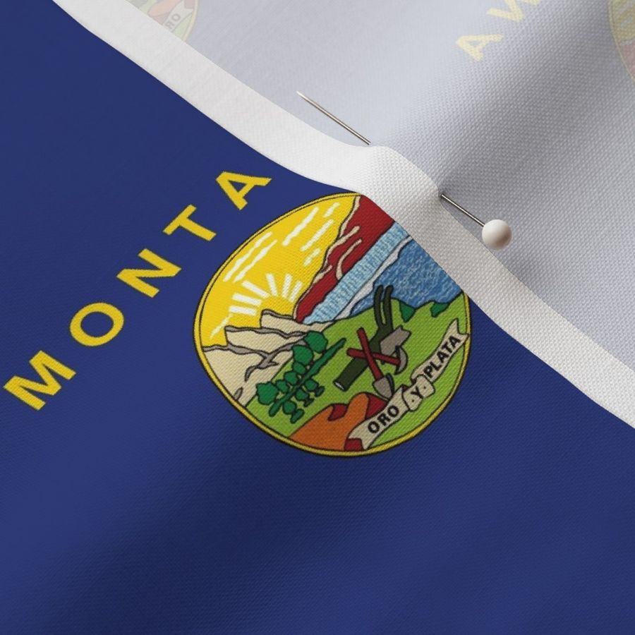 Montana State Flag Pattern