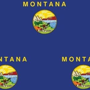 Montana State Flag Pattern