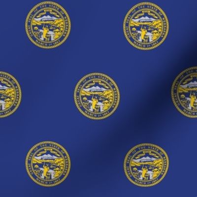 Nebraska State Flag Pattern
