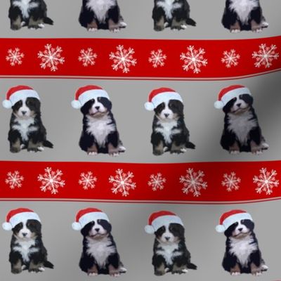 Christmas Bernese Mountain Dog