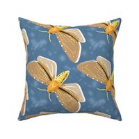 Gold Moths on Dusky Blue Large