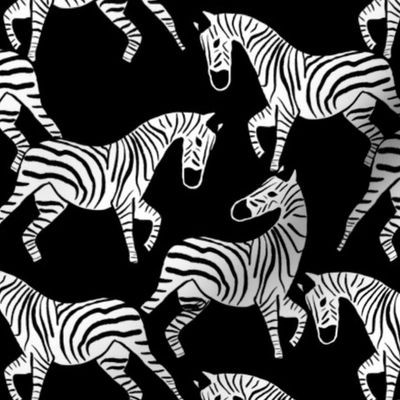 Zebra Stampede Black and White