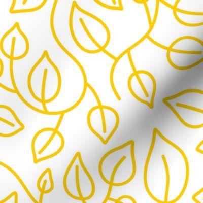 Pothos Leaves Yellow on White