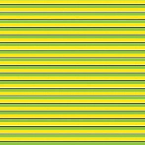 Save / The Reign of the Honey Bee   -Small stripe Green-yellow  