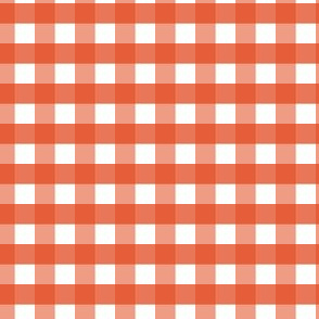 Gingham Check Rust|Tricolor Orange |Renee Davis