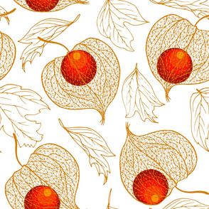 Cape gooseberries and autumn leaves