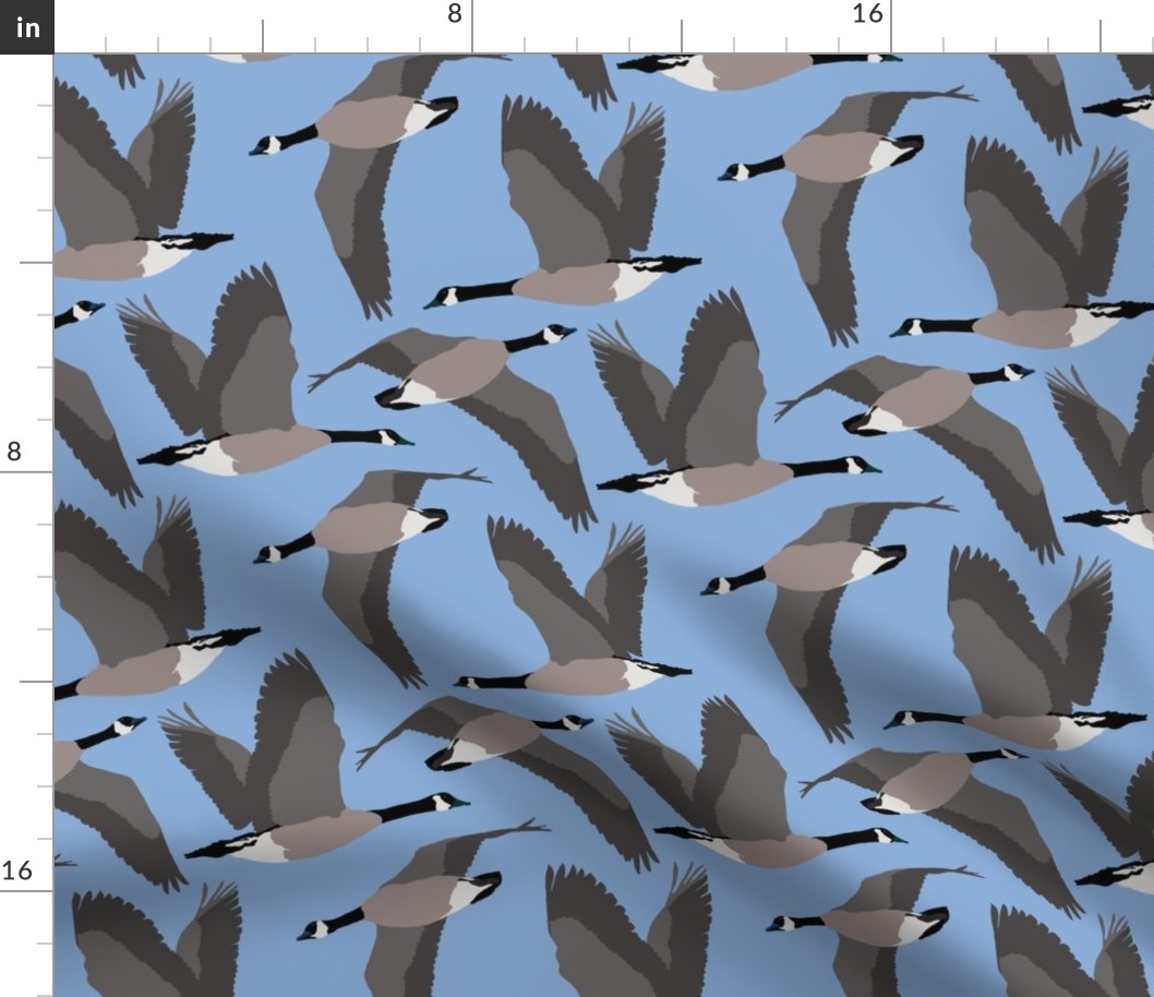 Canada Geese Flying in Blue