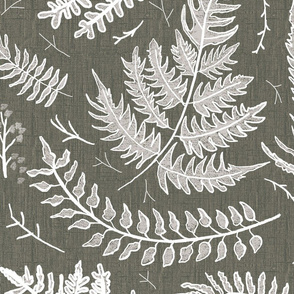 Fern_airy_gray