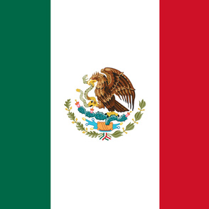 Mexico flag, yard