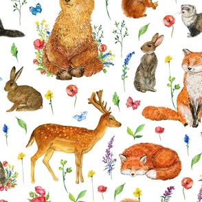 Cute forest animals