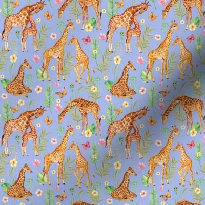 Cute giraffes