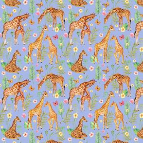 Cute giraffes