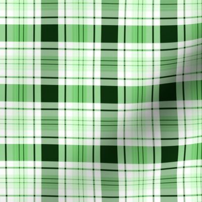 Tartan Plaid |Green White Gingham | St. Patrick's Christmas SpringRenee Davis