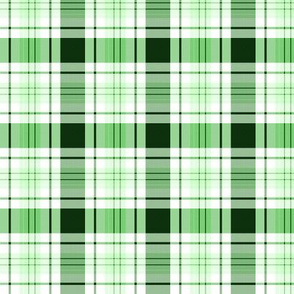 Tartan Plaid |Green White Gingham | St. Patrick's Christmas SpringRenee Davis