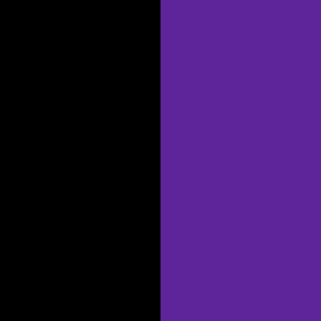 Jumbo Purple and Black Vertical Stripes