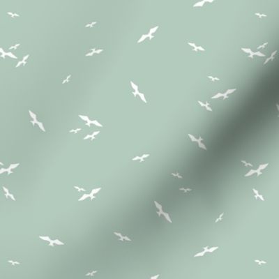 Flying Sea Birds on Gumleaf|Seabirds Seagulls Gulls| Renee Davis
