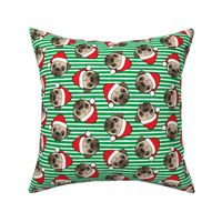 Christmas Pugs - Santa hats - Dog -  green  stripes - LAD19