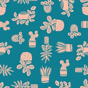 houseplants on teal