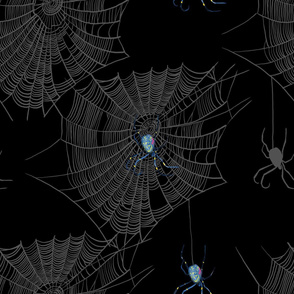 Hauntingly Beautiful Spiders