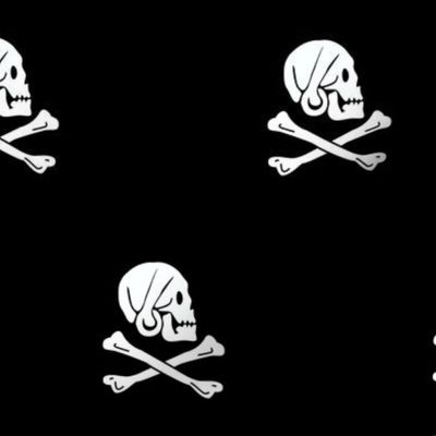 Pirate Flag, Henry Every Jolly Roger Pirate Flag