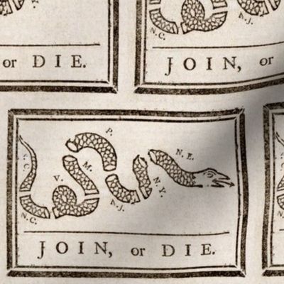 Join or Die Flag