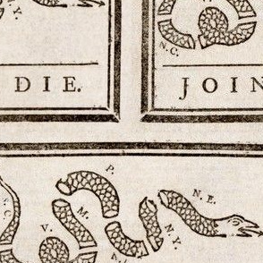 Join or Die Flag