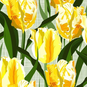 yellow tulip field - large