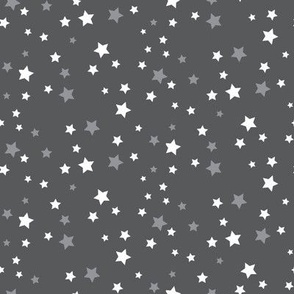 Stargazer (Gray)