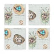 nature journal: cozy bird nests in pebble grey