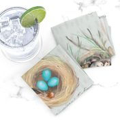 nature journal: cozy bird nests in pebble grey
