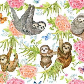 cute sloths 5