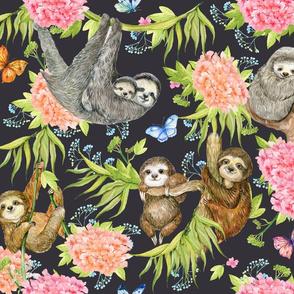 cute sloths
4