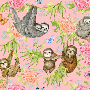 cute sloths 2