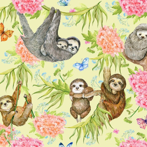 cute sloths