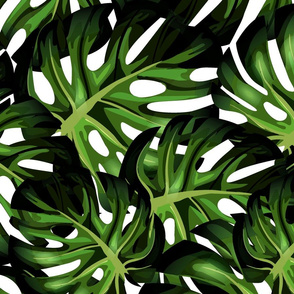 Bohemian Paradise- monstera leaves on white large scale