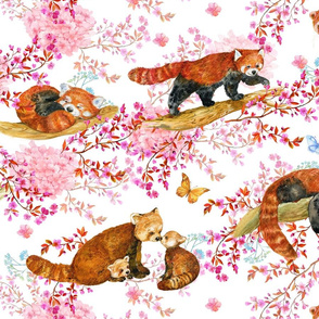 red Panda, watercolor, 