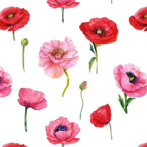 flowers, red, poppy,