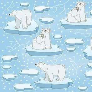 Polar Bears on Polar Caps