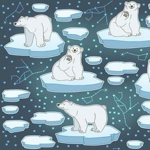 Dark Polar Bears on Polar Caps